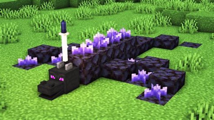 How to make the ender dragon in minecraft