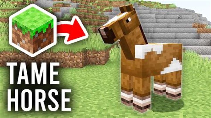How to name a horse on minecraft pe