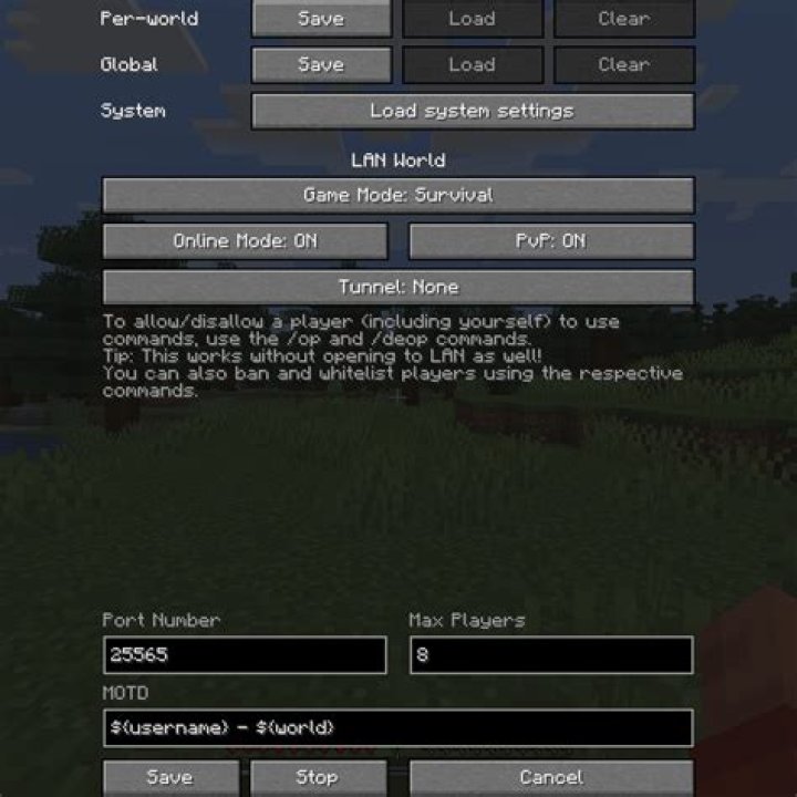 How to run a lan minecraft server