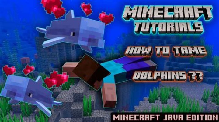 How to tame a dolphin in minecraft 1.13