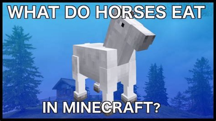 What do horses in minecraft like to eat