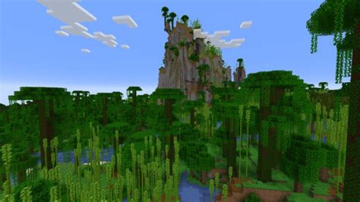 What is the jungle seed in minecraft