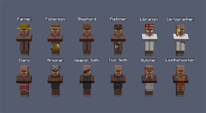 What types of villagers are there in minecraft