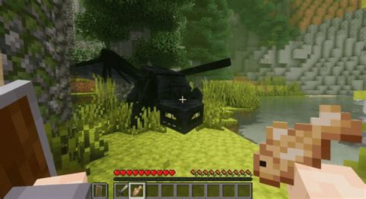 Where to find a dragon in minecraft